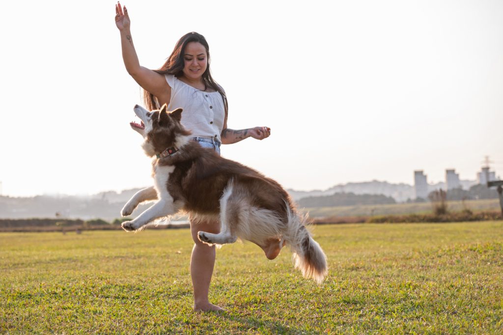 dog jumping 