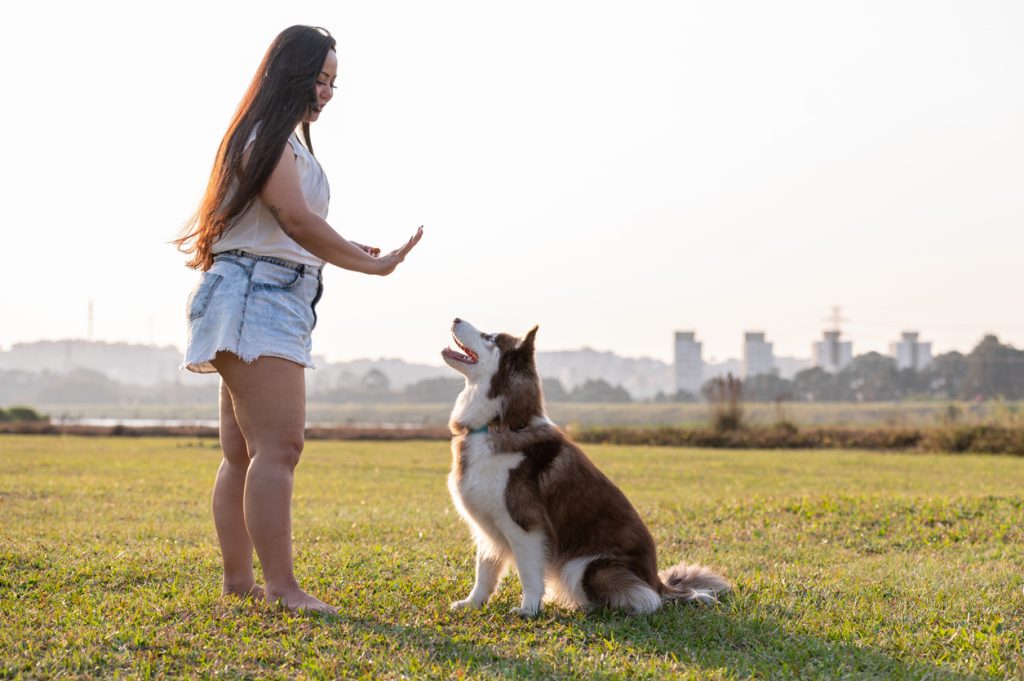 learning dog to stay